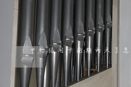 中行信用卡逾期两天了怎么办
