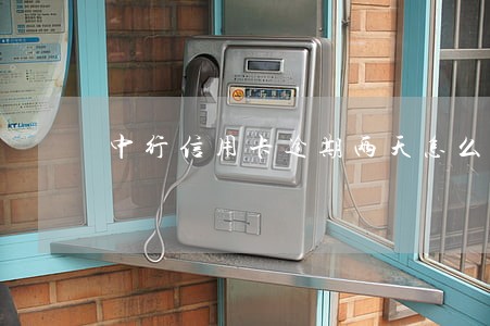 中行信用卡逾期两天怎么办 中行信用卡逾期两天怎么办