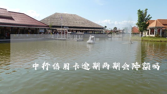 中行信用卡逾期两期会降额吗