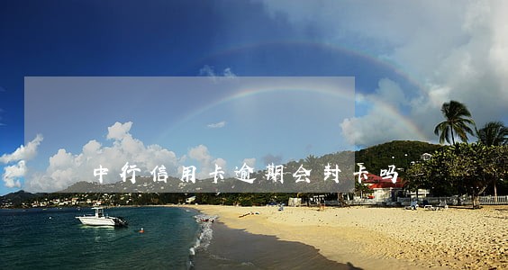 中行信用卡逾期会封卡吗 中行信用卡逾期会封卡吗