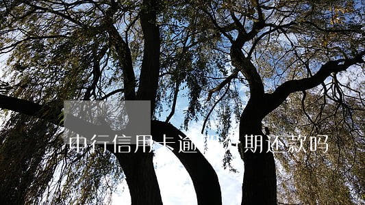 中行信用卡逾期分期还款吗