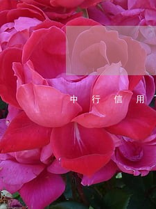 中行信用卡逾期利息可以减免吗 中行信用卡逾期利息可以减免吗
