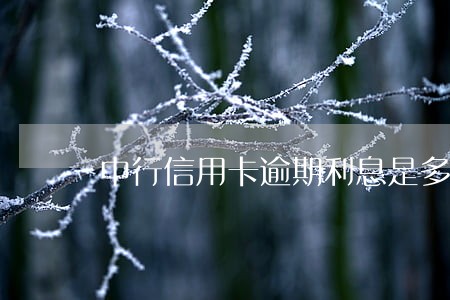 中行信用卡逾期利息是多少 中行信用卡逾期利息是多少