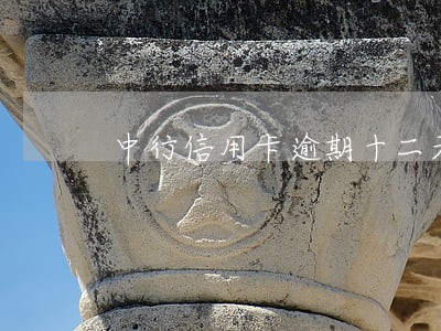 中行信用卡逾期十二天