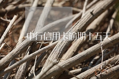 中行信用卡逾期十五天