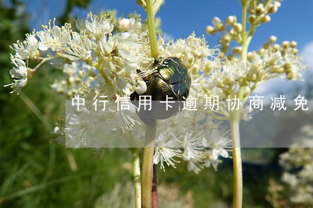 中行信用卡逾期协商减免方法
