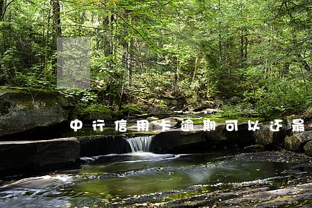 中行信用卡逾期可以还最低吗
