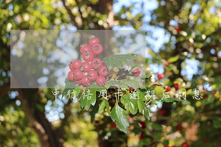 中行信用卡逾期后利息 中行信用卡逾期后利息