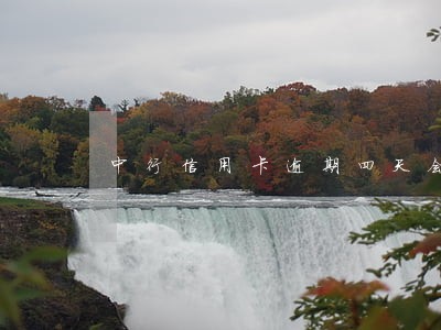 中行信用卡逾期四天会上征信吗 中行信用卡逾期四天会上征信吗