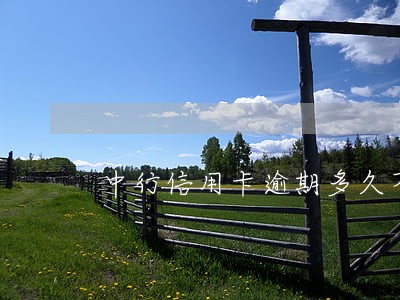 中行信用卡逾期多久不能使用 中行信用卡逾期多久不能使用
