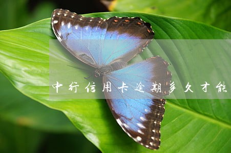 中行信用卡逾期多久才能协商 中行信用卡逾期多久才能协商