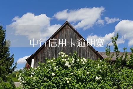 中行信用卡逾期宽 中行信用卡逾期宽