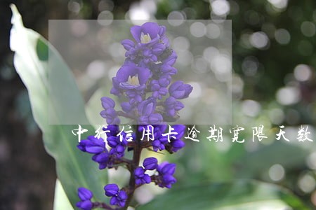 中行信用卡逾期宽限天数