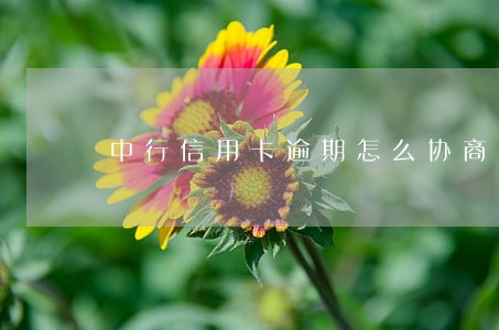 中行信用卡逾期怎么协商 中行信用卡逾期怎么协商