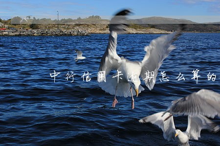 中行信用卡逾期怎么算的