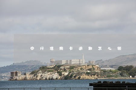 中行信用卡逾期怎么销 中行信用卡逾期怎么销