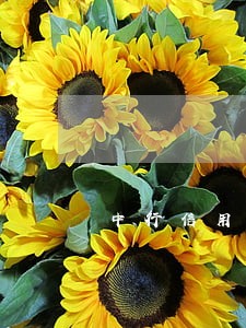 中行信用卡逾期扣款
