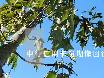 中行信用卡逾期撤回征信 中行信用卡逾期撤回征信