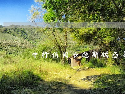 中行信用卡逾期状态异常 中行信用卡逾期状态异常