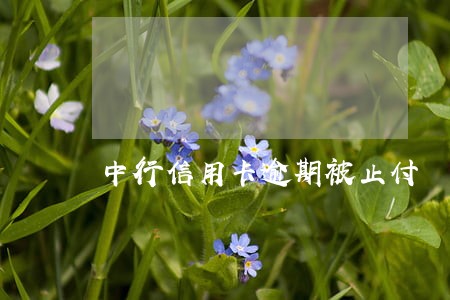 中行信用卡逾期被止付 中行信用卡逾期被止付