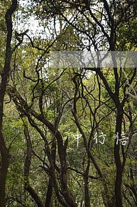 中行信用卡逾期被起诉后怎么办 中行信用卡逾期被起诉后怎么办