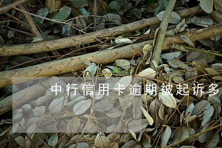 中行信用卡逾期被起诉多久立案 中行信用卡逾期被起诉多久立案