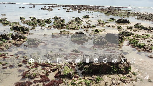 中行信用卡逾期要贷款买房