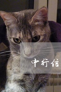 中行信用卡逾期说要诉讼