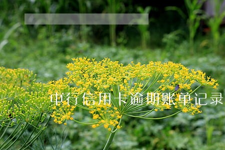 中行信用卡逾期账单记录 中行信用卡逾期账单记录