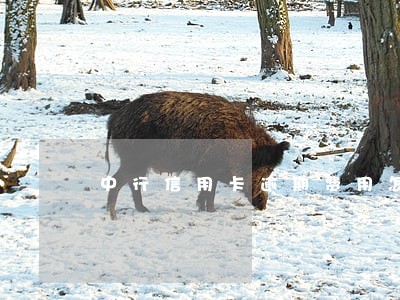 中行信用卡逾期费用怎么算 中行信用卡逾期费用怎么算