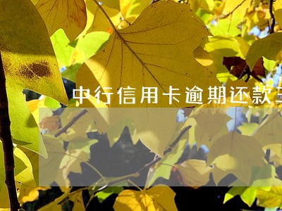 中行信用卡逾期还款三个月 中行信用卡逾期还款三个月