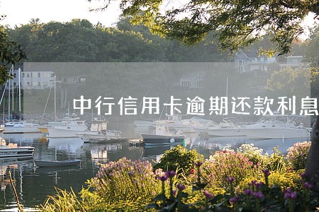 中行信用卡逾期还款利息 中行信用卡逾期还款利息