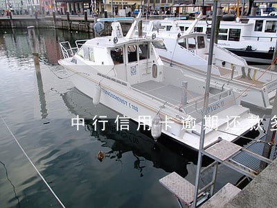 中行信用卡逾期还款多久入账 中行信用卡逾期还款多久入账