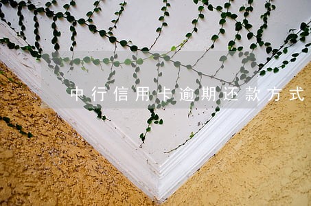 中行信用卡逾期还款方式 中行信用卡逾期还款方式