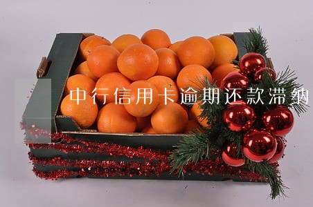 中行信用卡逾期还款滞纳金 中行信用卡逾期还款滞纳金