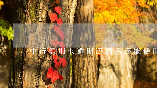 中行信用卡逾期还清后还能使用