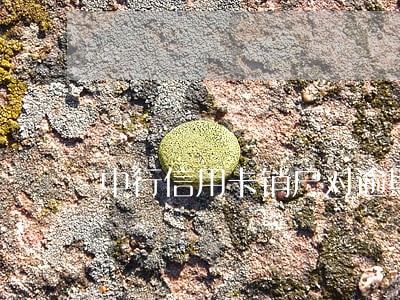 中行信用卡销户对逾期 中行信用卡销户对逾期