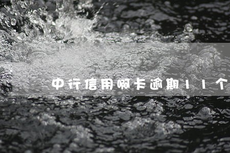 中行信用啊卡逾期11个月 中行信用啊卡逾期11个月