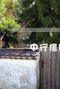 中行信用报告逾期 中行信用报告逾期