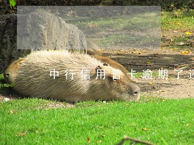 中行信用普卡逾期了还能提额吗 中行信用普卡逾期了还能提额吗