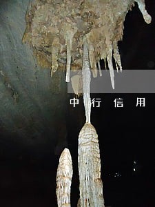 中行信用贷款逾期 中行信用贷款逾期