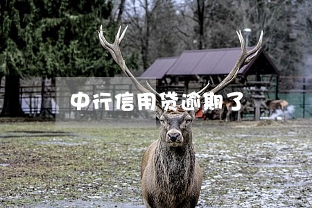 中行信用贷逾期了 中行信用贷逾期了