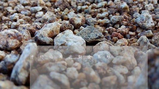 中行信用逾期变呆账 中行信用逾期变呆账