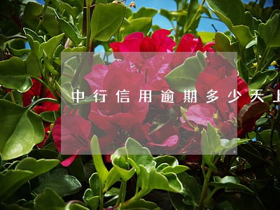 中行信用逾期多少天上征信 中行信用逾期多少天上征信