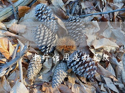 中行信用逾期还款 中行信用逾期还款