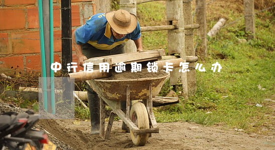 中行信用逾期锁卡怎么办 中行信用逾期锁卡怎么办
