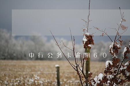 中行公务卡逾期60天 中行公务卡逾期60天