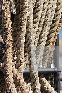 中行助学贷款逾期 中行助学贷款逾期