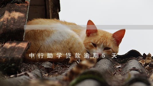 中行助学贷款逾期5天 中行助学贷款逾期5天