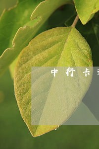 中行卡逾期一天有事吗